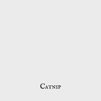 Catnip (Hierba Gatera) – Leaf – Dried Herb