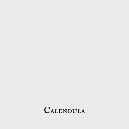 Calendula (Caléndula) – Flower – Dried Herb