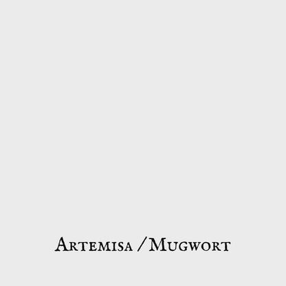 Mugwort (Artemisa) – Leaf – Dried Herb