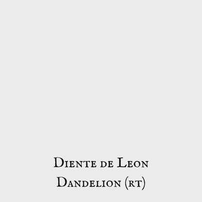 Dandelion (Diente de León) – Root – Dried Herb