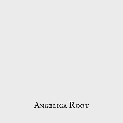 Angelica (Angélica) – Dried Herb