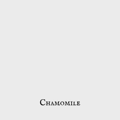 Chamomile (Manzanilla) Flower – Dried Herb