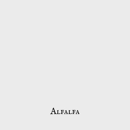 Alfalfa (Alfalfa) – Leaf – Dried Herb