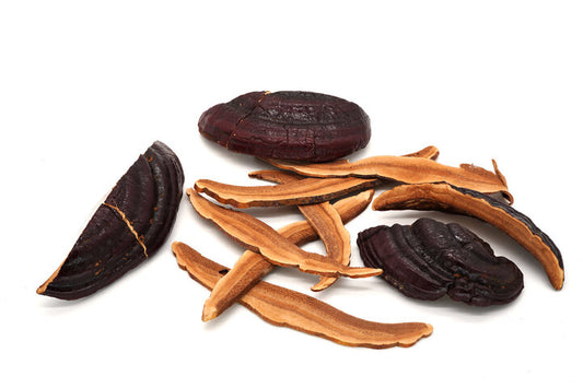 Reishi (hongo- mushroom)
