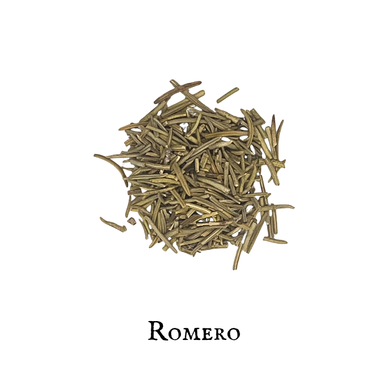 Romero - Rosemary Rosemarinus officinalils