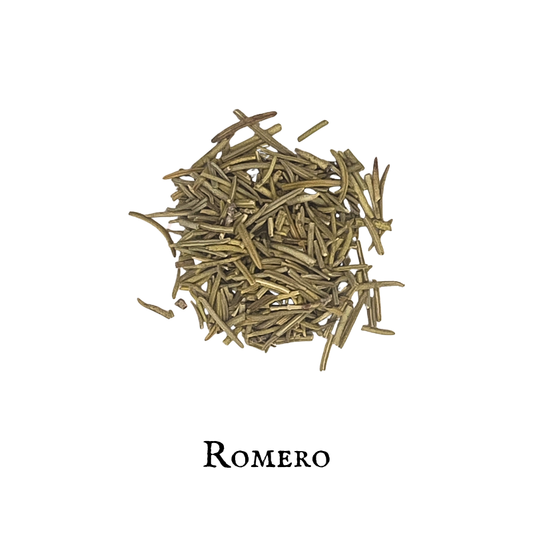Romero - Rosemary Rosemarinus officinalils