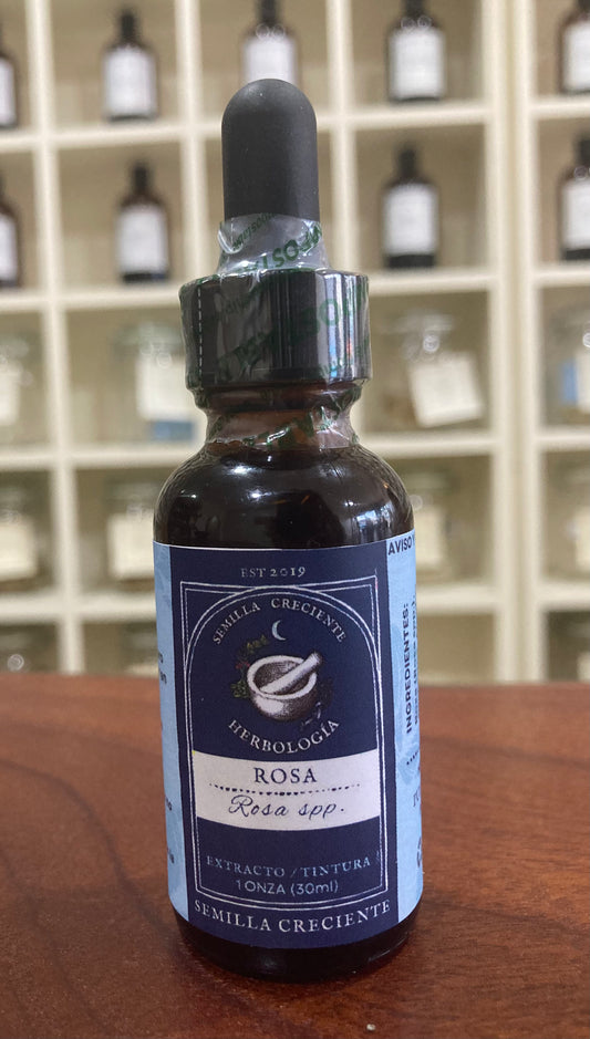 Rose (Rosa) – Glycerin Extract