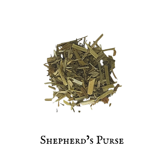 Shepherd’s Purse – Capsella bursa-pastoris