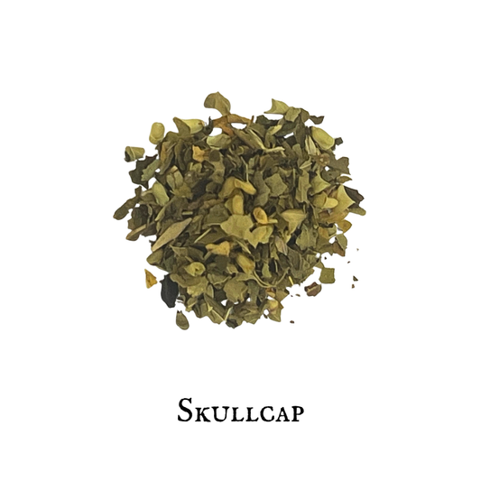Escutelaria - Skullcap