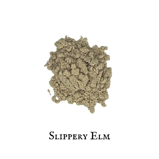 Slippery elm (polvo) - Ulmus rubra