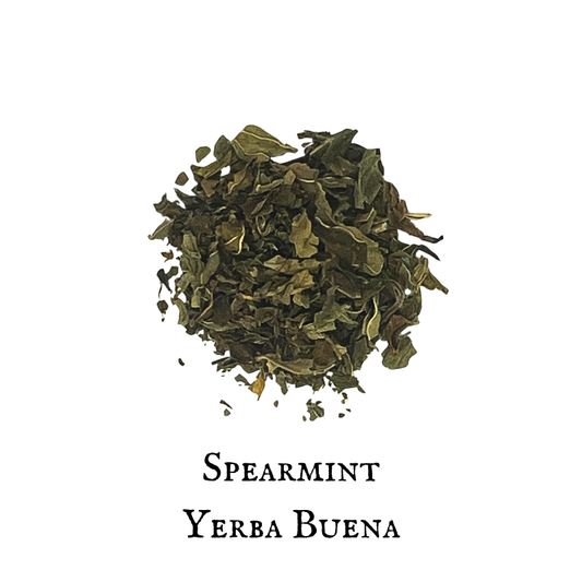 Hierbabuena / Spearmint (Mentha spicata)
