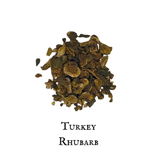 Turkey Rhubarb – Rheum palmatum