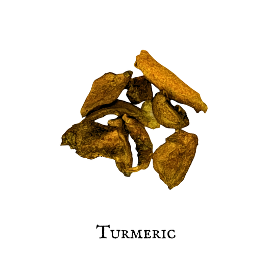 Turmeric (Cúrcuma) – Curcuma longa