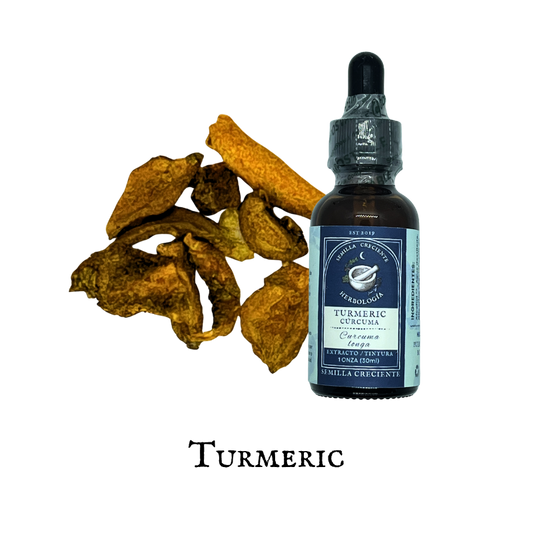 Turmeric (Cúrcuma) – Tincture
