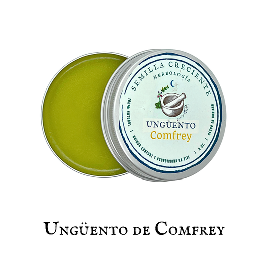 Consuelda (Comfrey) – Ungüento