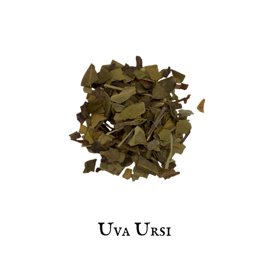 Uva Ursi - Uva de oso