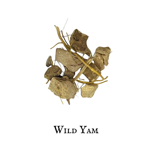 Wild Yam - ñame silvestre común
