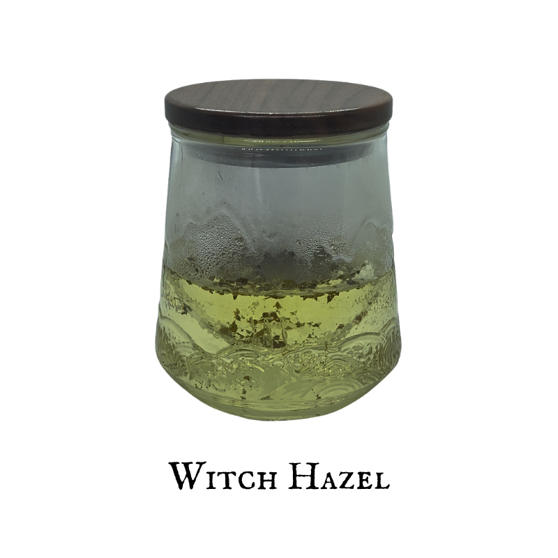 Witch Hazel (Hamamelis) – Bark – Dried Herb