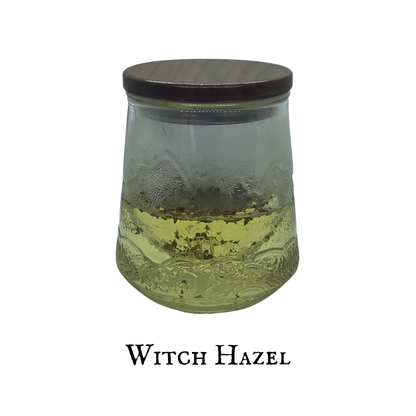 Witch Hazel (Hamamelis) – Bark – Dried Herb