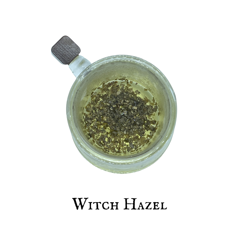 Witch Hazel (Hamamelis) – Bark – Dried Herb