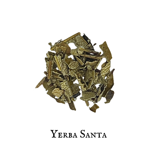 Yerba Santa – Eriodictyon californicum